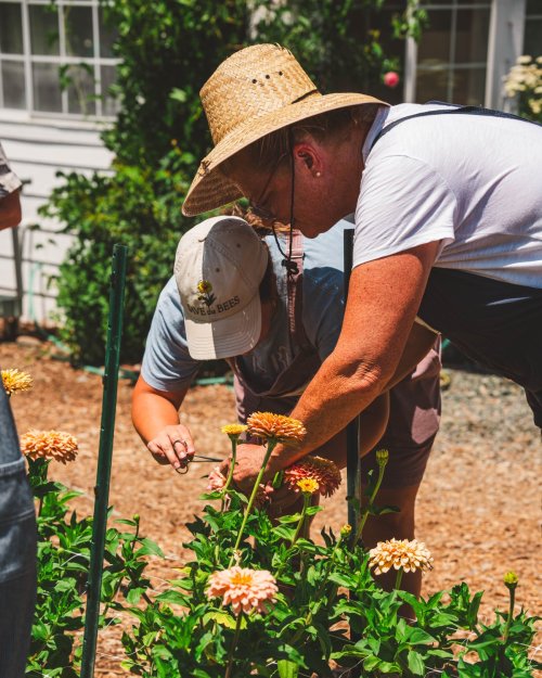 Zinnia Breeding Workshop Monday &amp; Tuesday, July 21 &amp; 22 2025